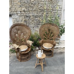 Fauteuils Emmanuelle model bois clair (le duo)